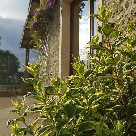 Le Domaine De Fontsauzine Holiday home