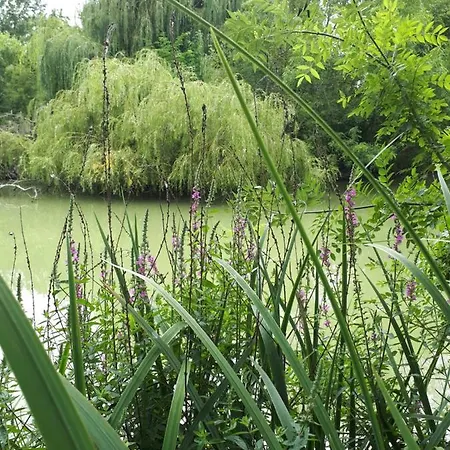 Le Domaine De Fontsauzine Сasa de vacaciones Genouille (Charente-Maritime)