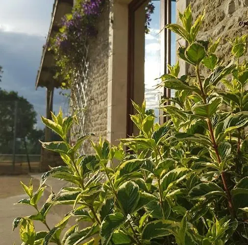 Le Domaine De Fontsauzine Сasa de vacaciones