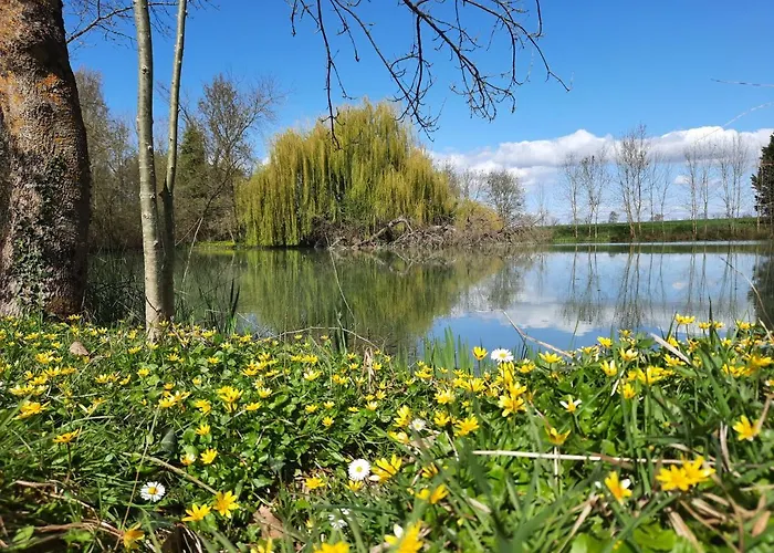 Le Domaine De Fontsauzine * Genouille (Charente-Maritime)