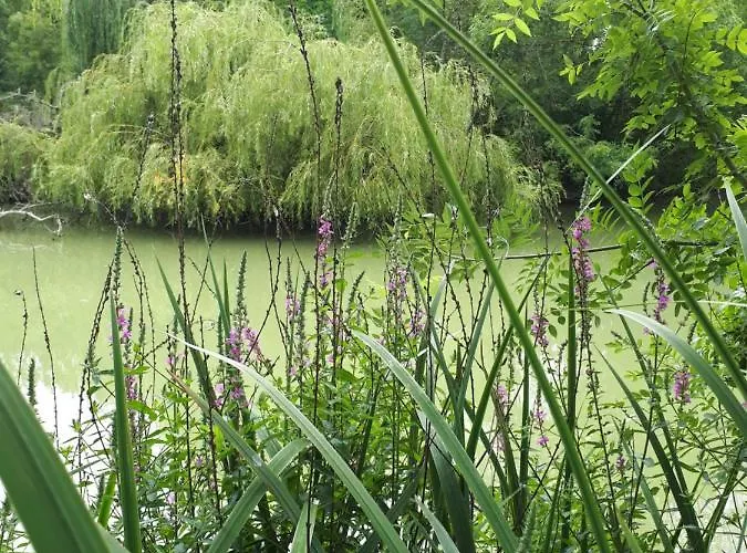 Le Domaine De Fontsauzine Сasa de vacaciones Genouille (Charente-Maritime)